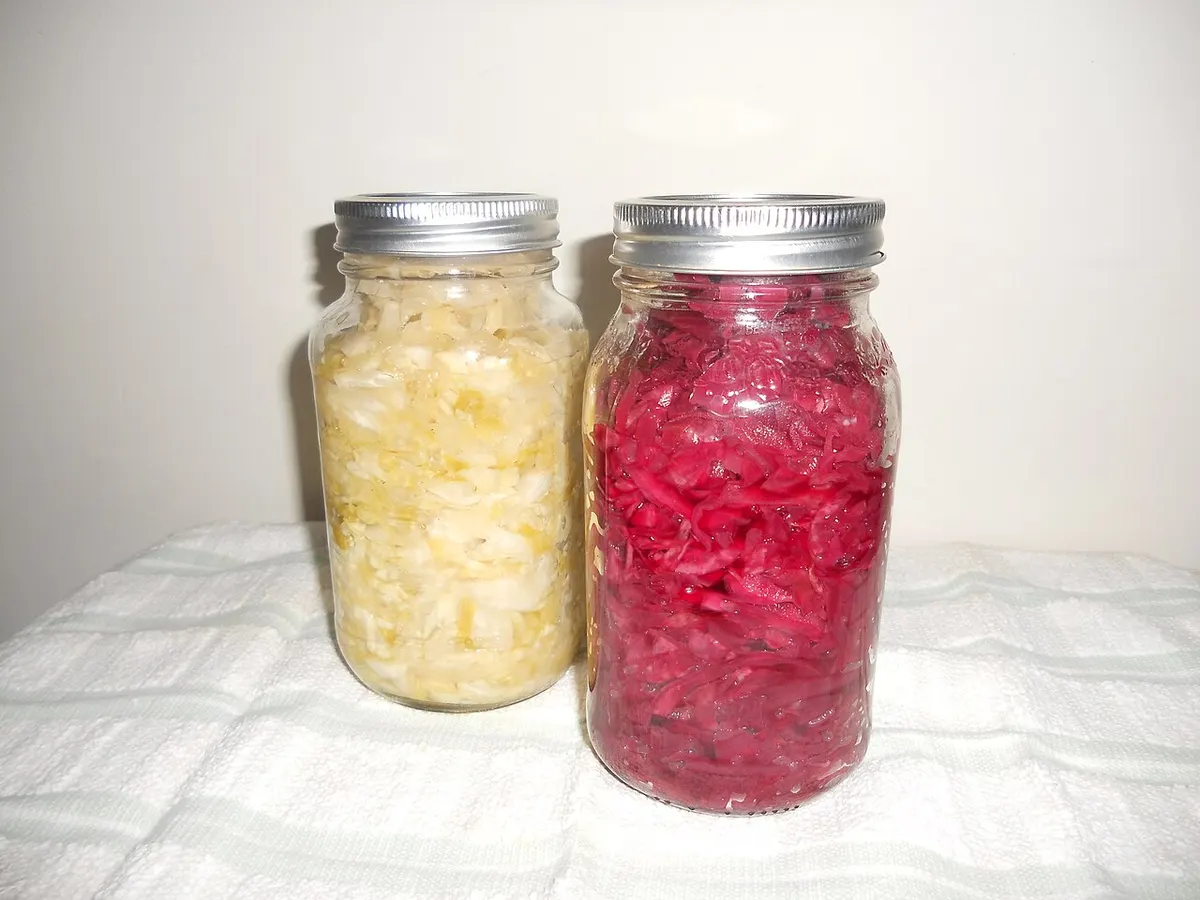 Two jars of homemade sauerkraut, one green cabbage and one red cabbage